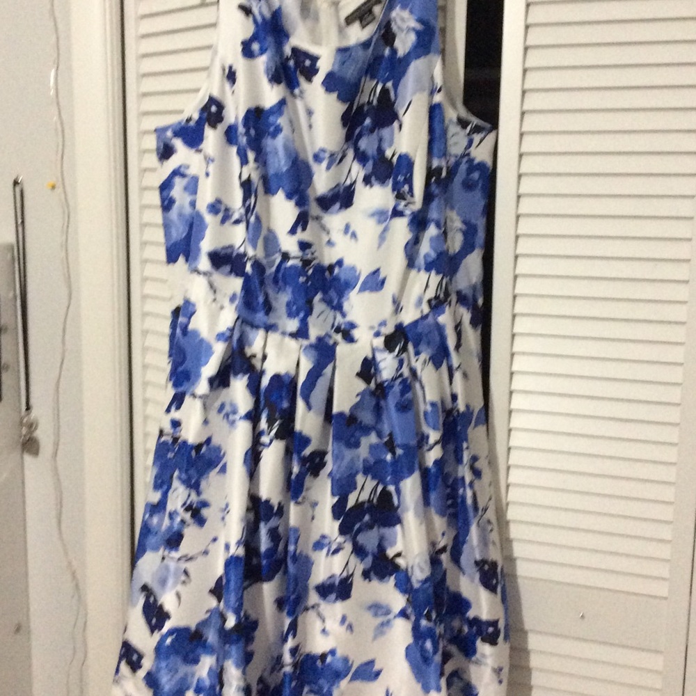 Blue and Black Floral pleated dress